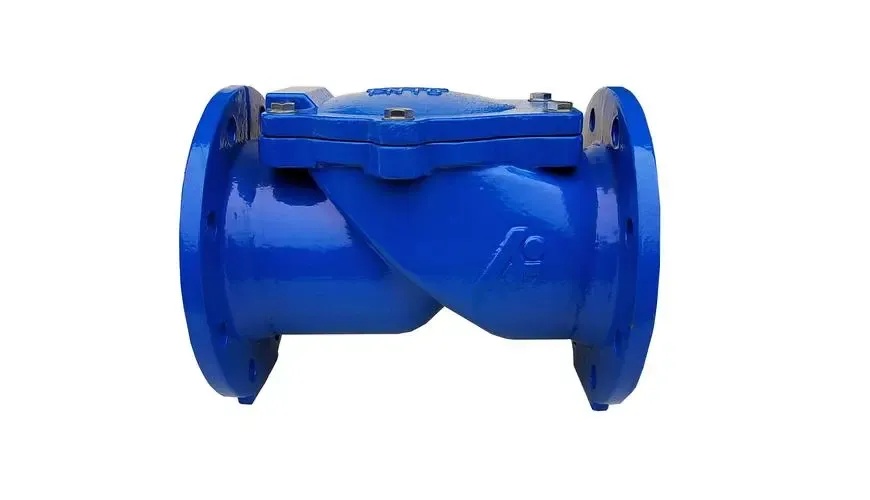 Læs mere om Check Valve Assy